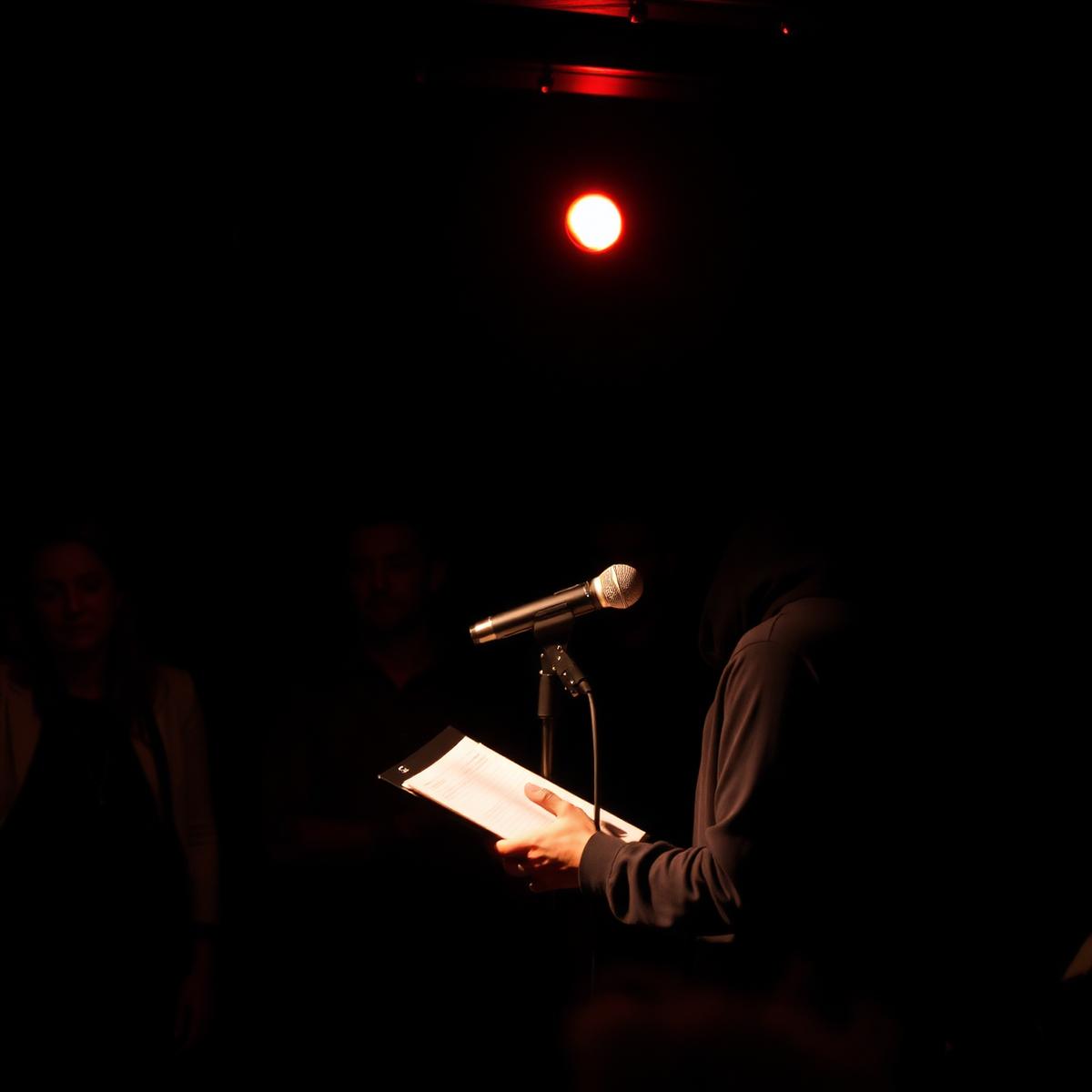 Spoken Word Lab — Studio Puls